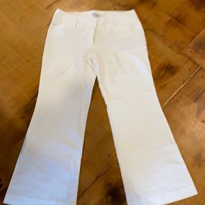 Express design studio size 14 pants